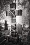 Panasonic GF1 converted to capture from 720nm - for Infra Red Photos only