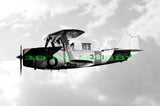 Curtiss SBC-4 Helldiver 56