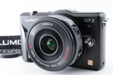 Panasonic Lumix GF2 Vintage Digital Camera w/ 14-42mm Lens From Japan #58