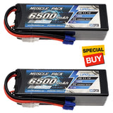 Hard case LiPo battery pack with EC3 connector, black with blue label, two units shown