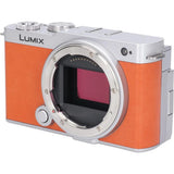 Authentic PANASONIC DC-S9 #260-007-172-8186