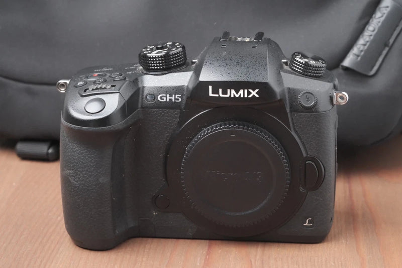 Panasonic Lumix GH5 Mirrorless 4K Micro Four Thirds Camera w/256GB & Slim Bag