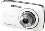 Panasonic LUMIX S1 Digital Camera White DMC-S1-W From Japan