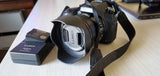 Panasonic LUMIX FZ1000 4K Point and Shoot Camera, 16X F2.8-4.0 Lens, 21.1 Megapi