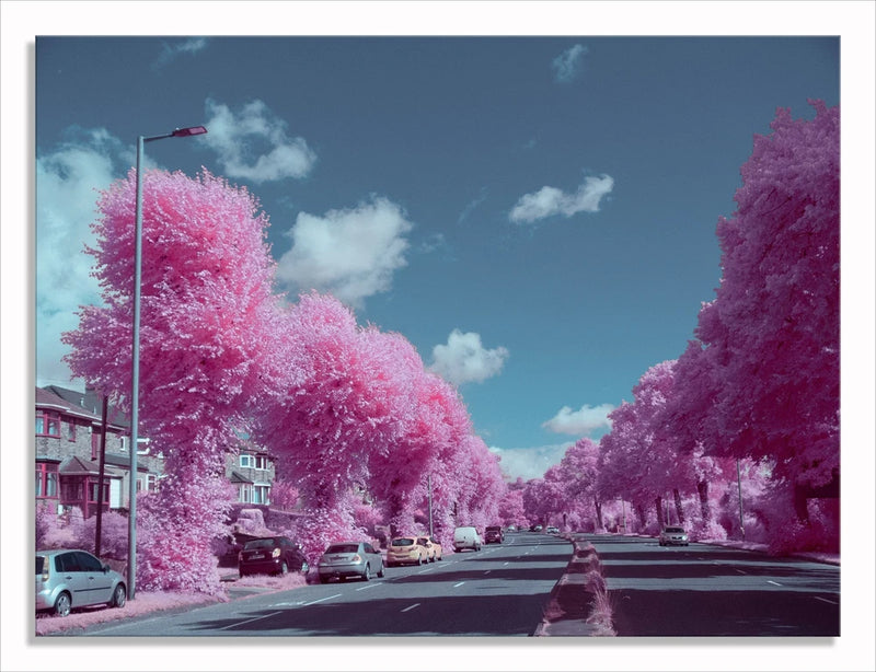 Converted Full Spectrum Infrared  Panasonic G1 12MP Mirrorless M43 Camera   26