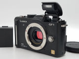 2,646 Shots - Excellent - Panasonic LUMIX DMC-GF1 #YS03465