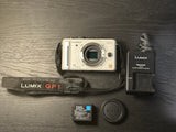 Panasonic LUMIX DMC-GF1 Mirrorless Camera