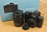 Panasonic LUMIX DC-G100DW Mirrorless Camera with Double Zoom Lens Kit
