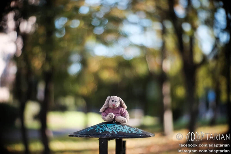 Unique bokeh Meopta MEOSTIGMAT 50/1  converted to Fuji X + focusing | SAMPLES