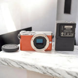 [Near Mint] Panasonic LUMIX DMC-GM1 Mirrorless Digital Camera with battery jp