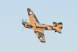 Curtiss P-40 Warhawk Micro Warbirds RTF RC Airplane w/PASS Stability Assist