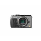 Panasonic Mirrorless Digital Camera Lumix GX1 body 16MP Blade Silver (DMC-GX1-S)