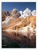 Converted 550nm Infrared IR Panasonic DMC-G10 12MP   Camera 51