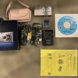 Panasonic LUMIX FX 35 Pink Compact Digital Camera [No English Menu] Japan