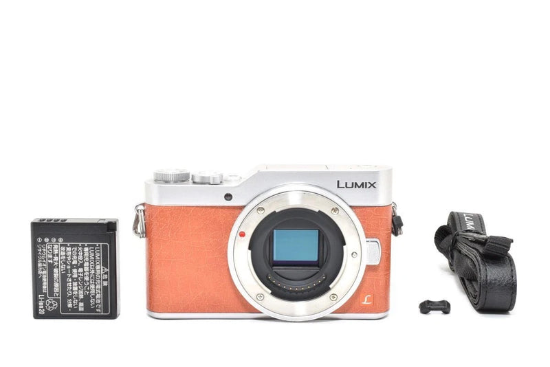 #j77 Practical Panasonic Panasonic LUMIX DC-GF9 Body
