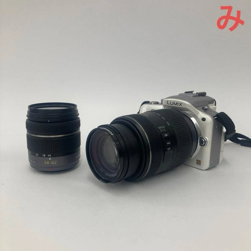 Panasonic Lumix DMC-G3 Digital Camera with Two Lenses and Accessories