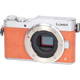 Authentic PANASONIC DC-GF9 #246-000-447-3626