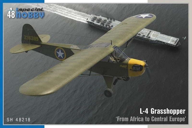 L-4 Grasshopper scale model aircraft with olive green wings and yellow tail.