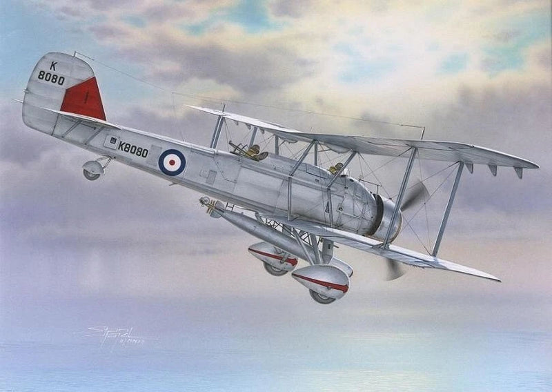 Grey biplane aircraft model with red tail and blue roundel markings