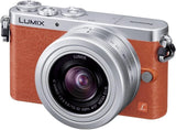 Panasonic LUMIX DMC-GM1 Orange VARIO f/3.5-5.6 12-32 Used JPN Tested Working