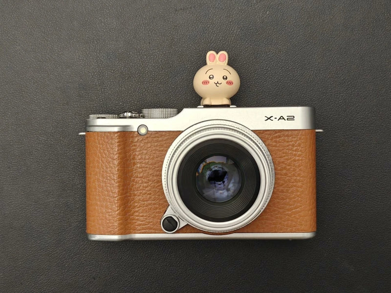 Fujifilm X-A2 1080P Video - Film Simulation, Vlogging brown