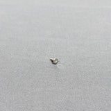 DJI Original M3*8 Motor Screws for Phantom 3, Phantom 2, P330, F450/F550