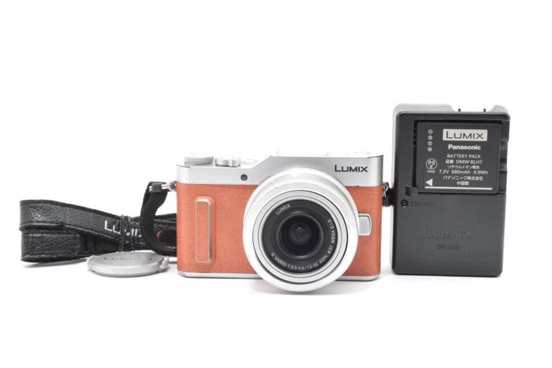 ¡¾Excellent+++¡¿Panasonic Lumix DC-GF10 Orange Lens japan w/Accessories