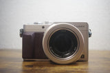 LUMIX DMC-LX100
