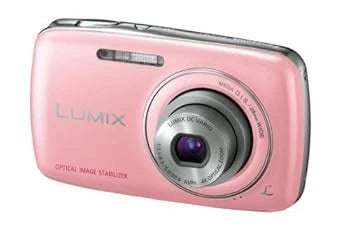 Panasonic LUMIX S1 Compact Digital Camera Pink From Japan