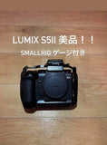 Panasonic Lumix DC-S5M2 Body & Lens Black From Japan