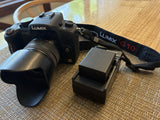 Panasonic LUMIX DMC-G10 12.1MP Black w/ Vario 14-42mm Lens