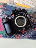 Panasonic Lumix DC-S1 With Cage, EF-L ND Throttle adapter, V log
