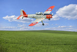 RC model airplane with white fuselage, orange and blue tail, front propeller