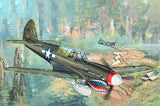 TRUMPETER 02212 P-40N WAR HAWK MODEL KIT-NIB-1/32 SCALE