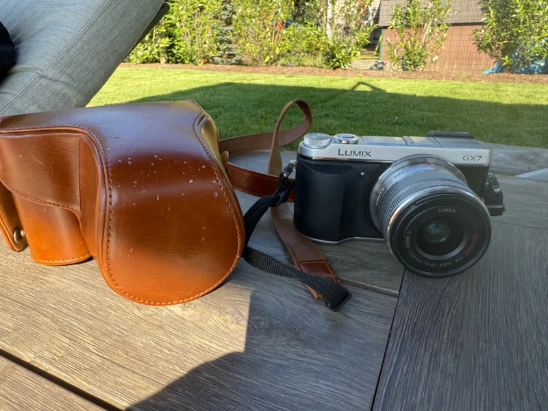 Panasonic Lumix GX7 Mirrorless Interchangeable Lens Camera - Black
