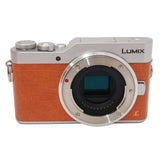 Panasonic LUMIX DC-GF9 Mirrorless Camera 4K Photo Japan Model With Charger