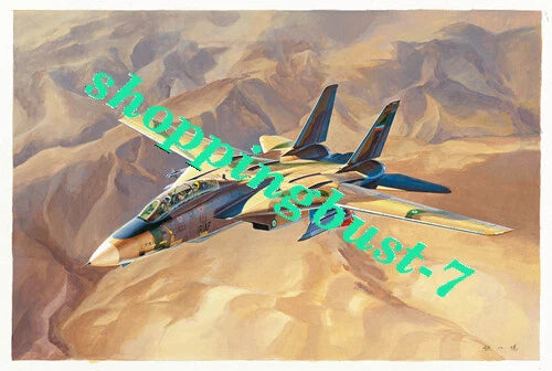 Hobbyboss 81771 1/48 scale ¡°Persian Cat¡± F-14A TomCat - IRIAF Fighter 2019 New