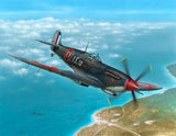 Special Hobby #48138 1/48 Supermarine Seafire Mk.III Aeronava23.5le & Irish Air