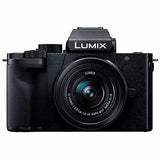 Panasonic Mirrorless SLR Camera LUMIX G100V Black Zoom Lens Kit