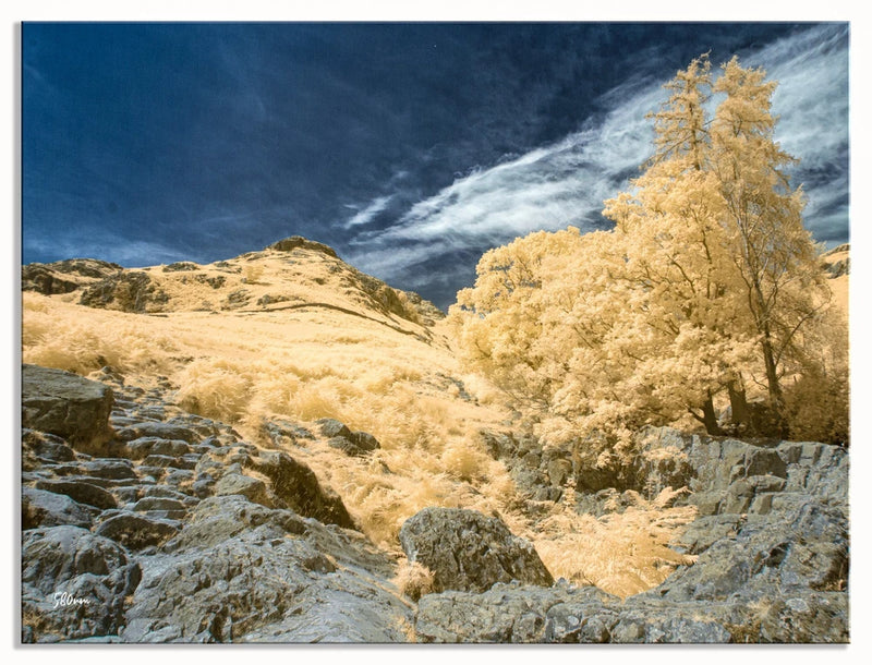 Converted 580nm Infrared IR Panasonic DMC-G1 12 MP Mirrorless  Camera 151