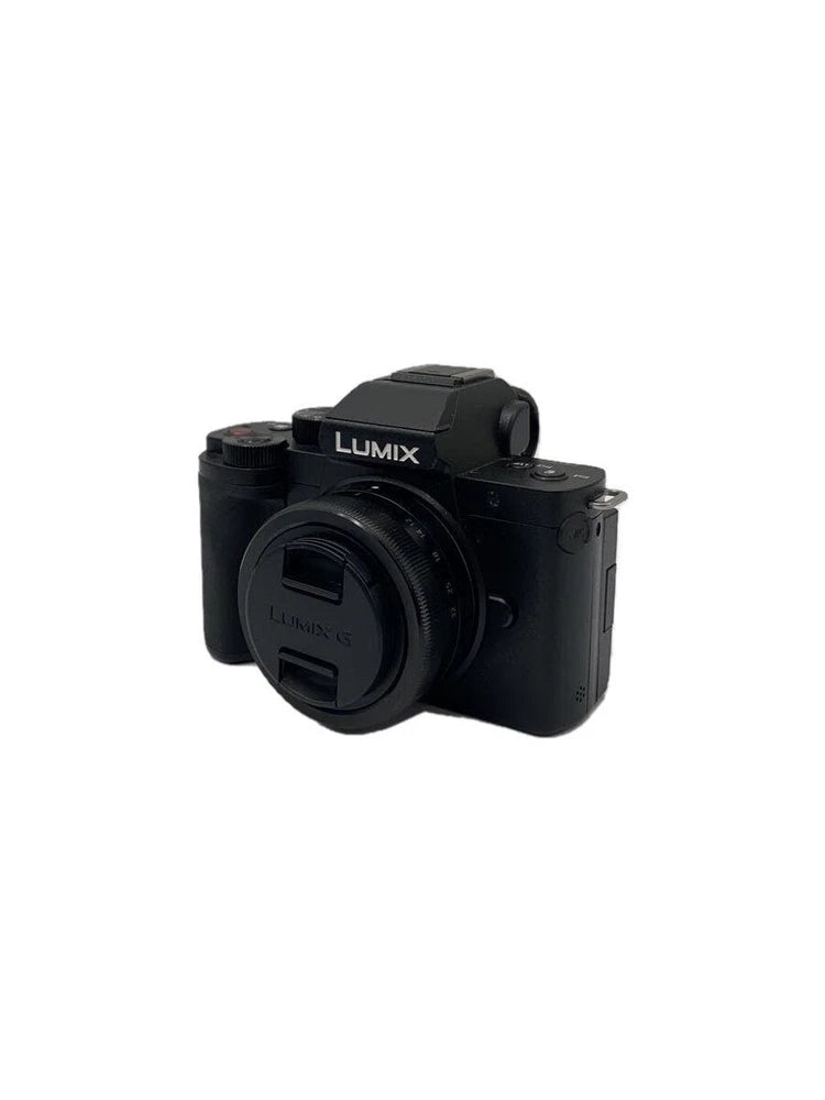Panasonic mirrorless digital camera single-lens DC-G100V standard zoom lens