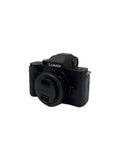Panasonic mirrorless digital camera single-lens DC-G100V standard zoom lens