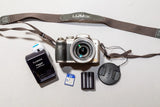 Panasonic Lumix DMC-FZ18 8.1MP Digital Camera WORKS + 2GB SD Card Battery Charge