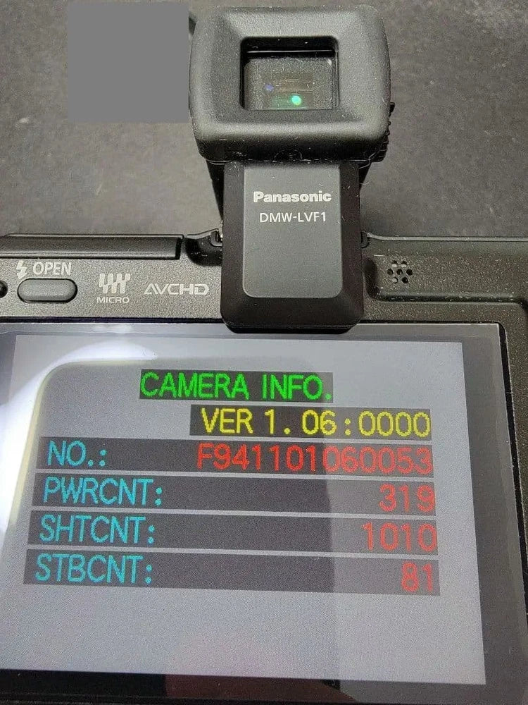 LUMIX GF2 LVF-1 With