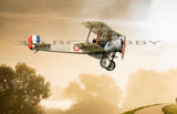 Bristol Scout D 43