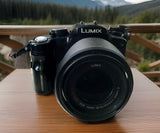 Panasonic Lumix DMC-G1 Mirrorless Camera Battery Included, Lens Included