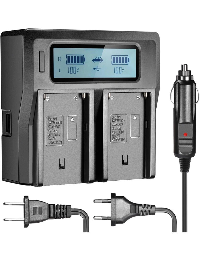 DC-LCD Dual LCD Battery Charger fw50 Dual Channel Digital Charger Sony Battery
