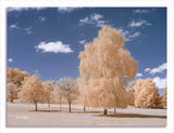 Converted Infrared IR Full Spectrum Panasonic GF3 M43  Mirrorless Camera    126