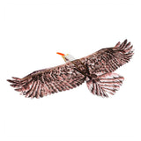 Dancing Wings Hobby E1904 EPP RC Airplane Eagle Plane 1430mm Electric Power QGHJ