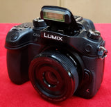 Panasonic Lumix DMC-GH4 Mirrorless Camera + G 20mm f/1.7 II ASPH Lens - H-H020A